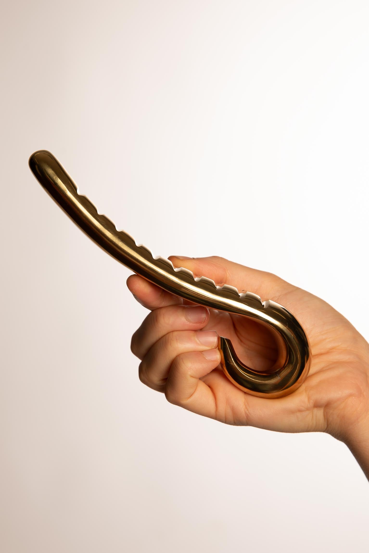 sexy shop, dildo, acciaio, metallo