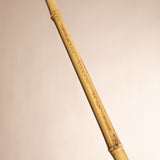bdsm, frusta, bamboo, frustino