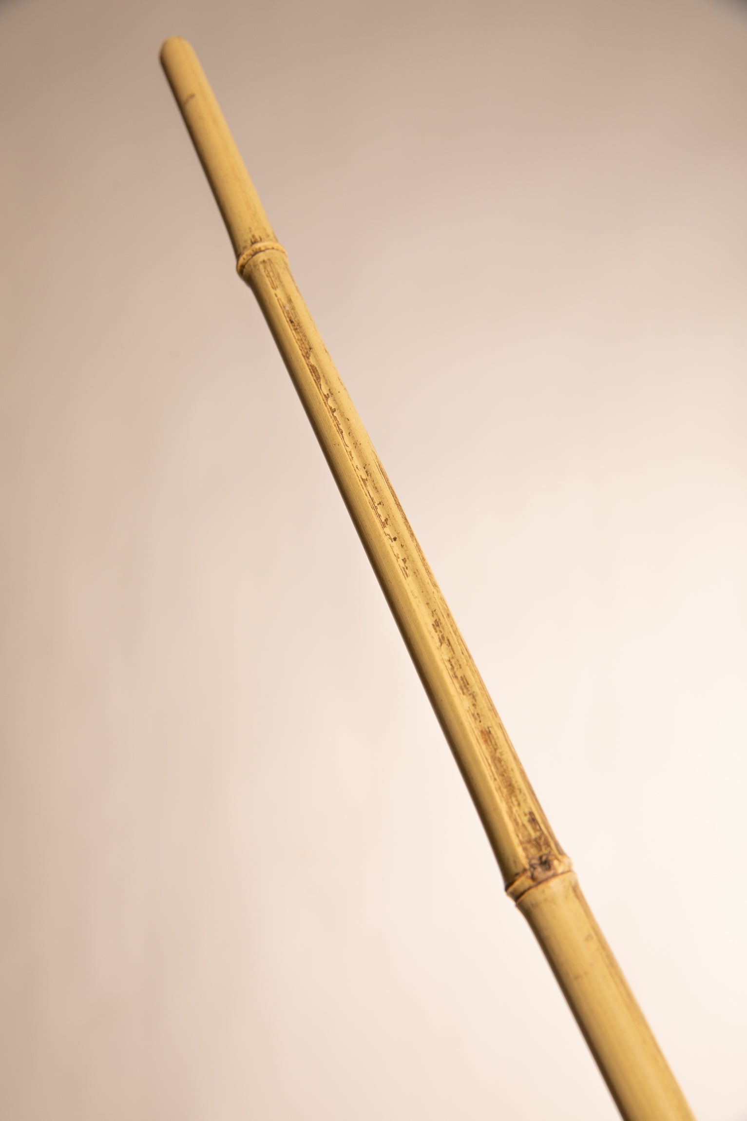 bdsm, frusta, bamboo, frustino