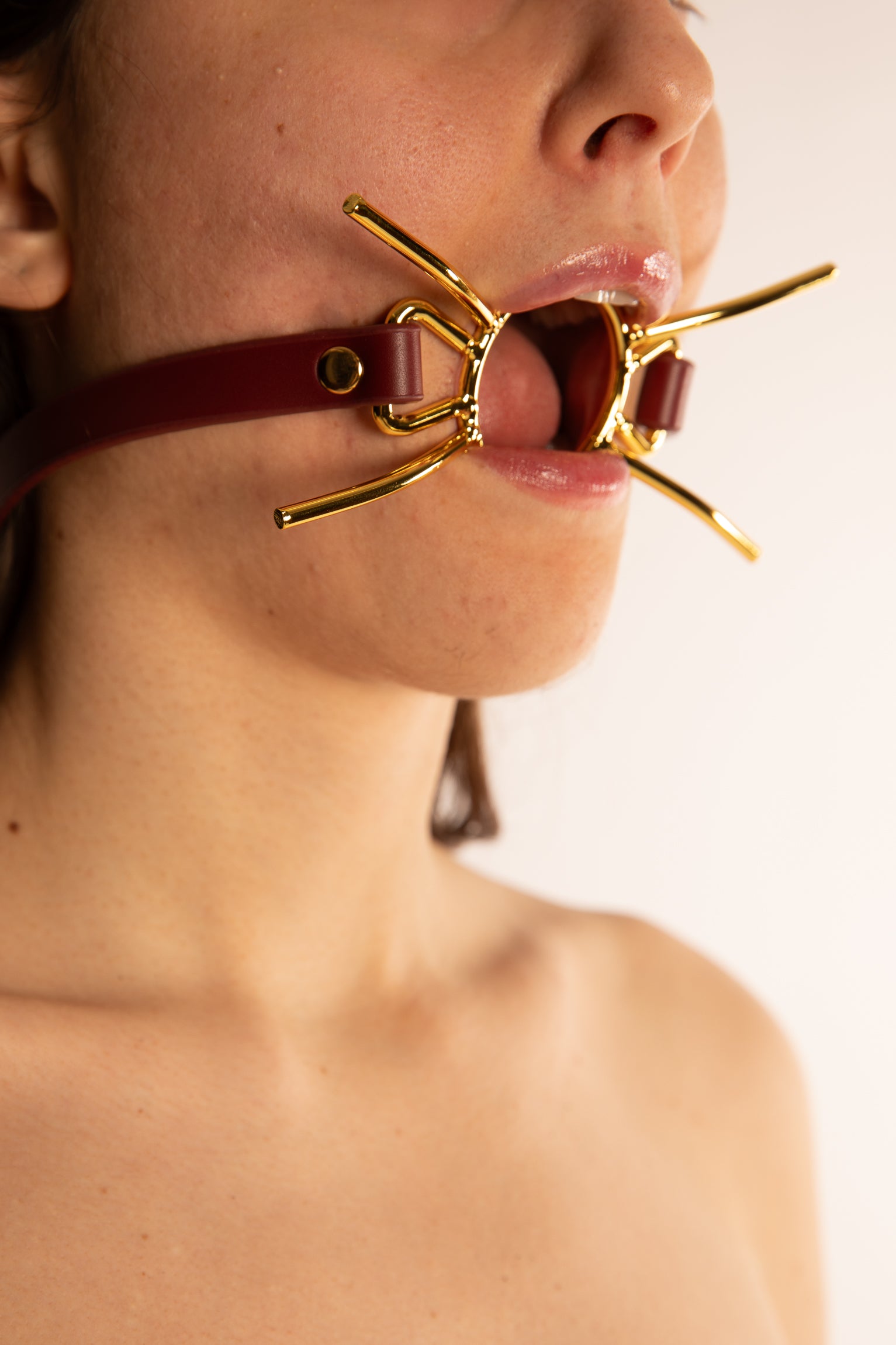 bdsm, gag, bit gag, ball gag, bavaglio